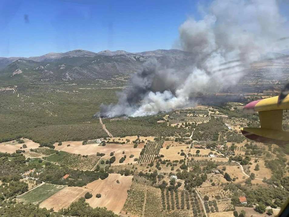 Φωτιά στη Μέγαρα