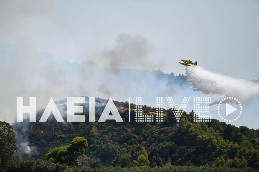 Ηλεία: Φωτιά σε δασική έκταση στην Ανάληψη