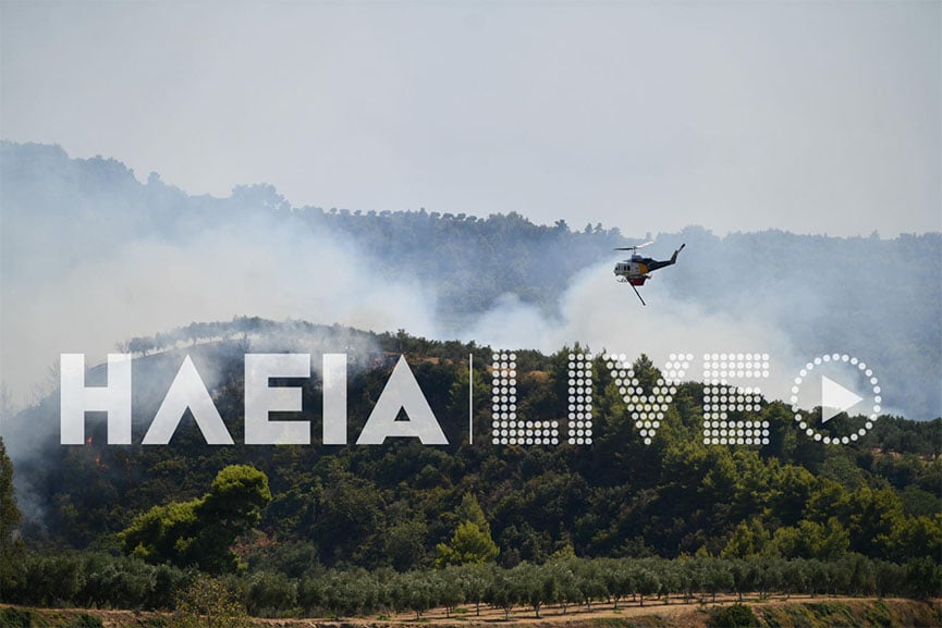 Ηλεία: Φωτιά σε δασική έκταση στην Ανάληψη