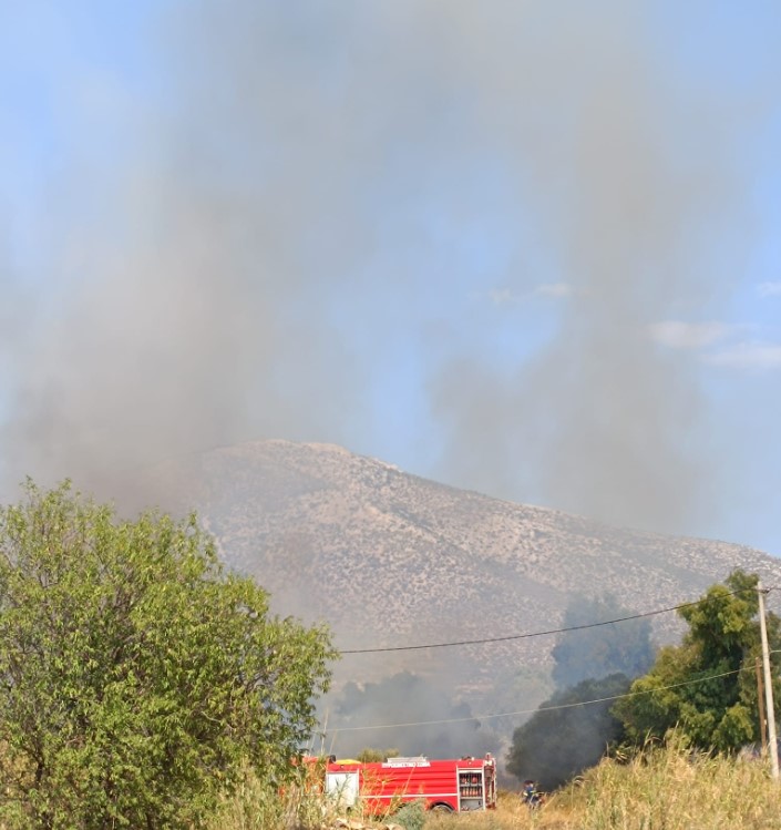 Φωτιά στα Καλύβια Αττικής - Ήχησε το «112»