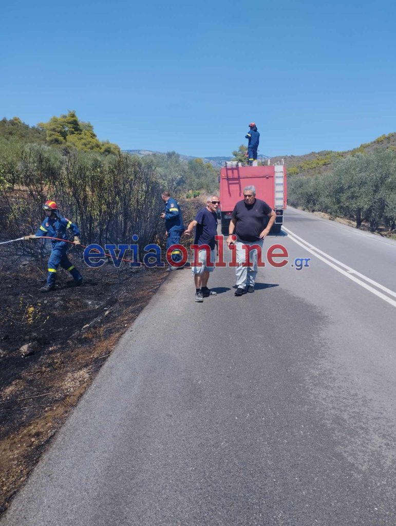 Υπό έλεγχο η νέα φωτιά στην Εύβοια