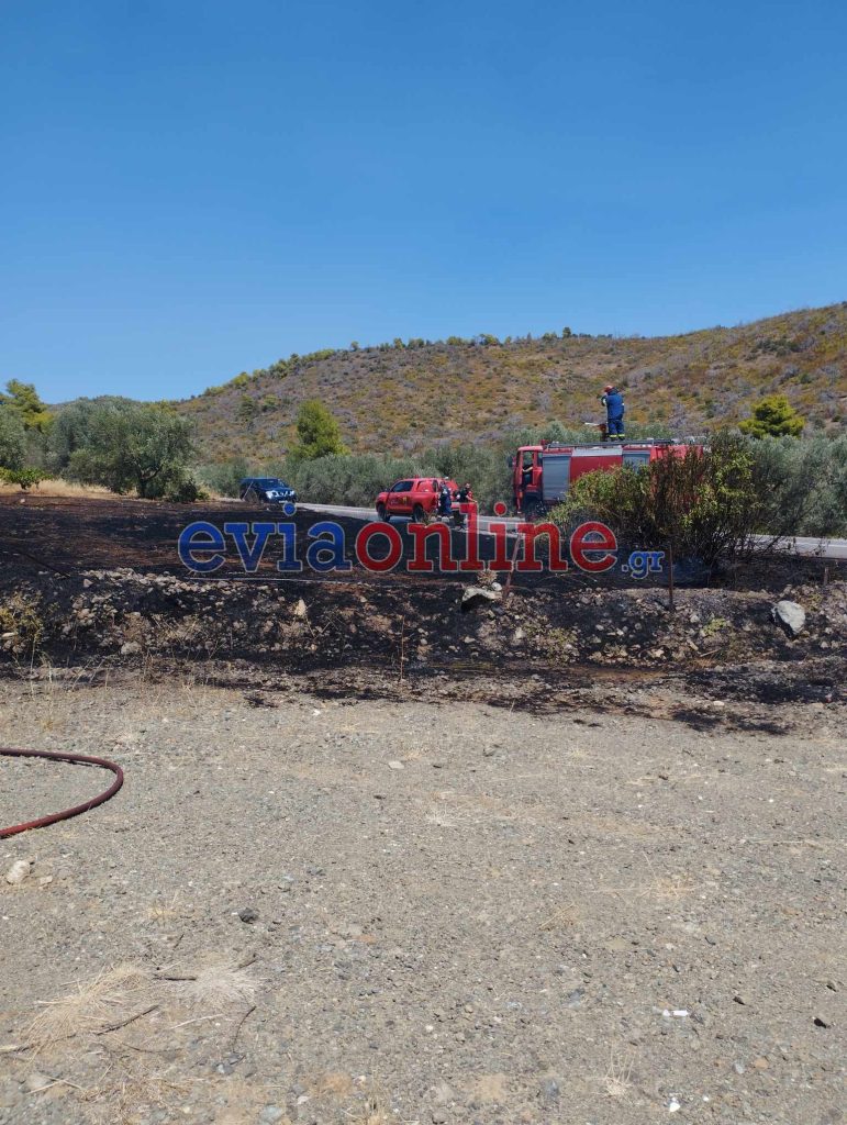 Υπό έλεγχο η νέα φωτιά στην Εύβοια