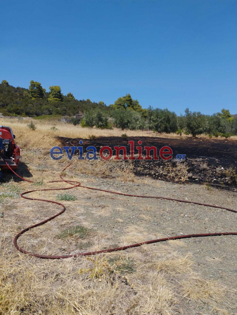 Υπό έλεγχο η νέα φωτιά στην Εύβοια