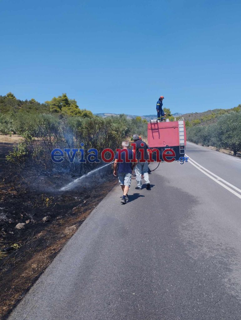 Υπό έλεγχο η νέα φωτιά στην Εύβοια