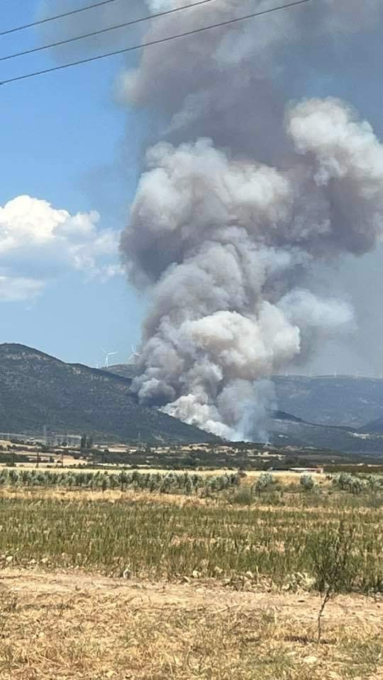 Φωτιά στην Ροδόπη