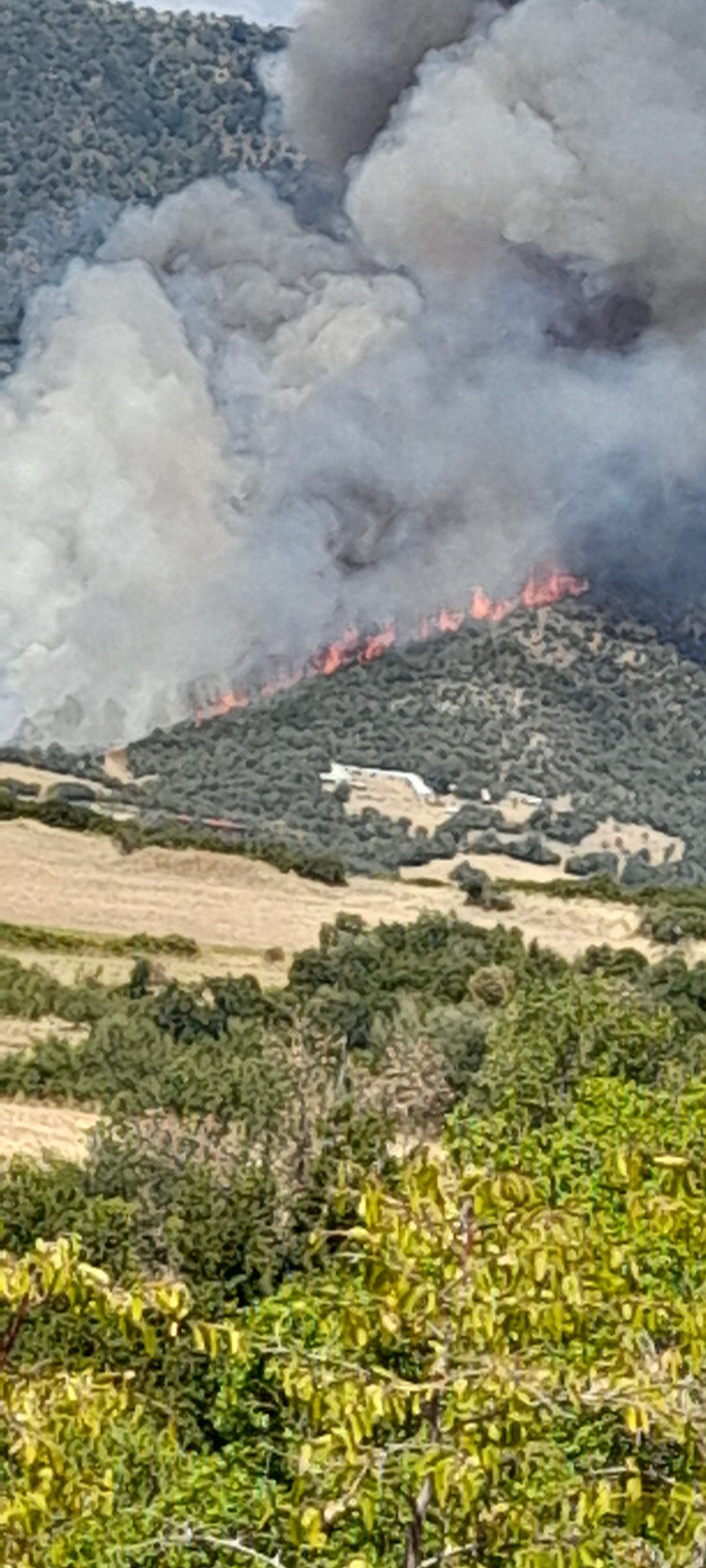 Φωτιά στην Ροδόπη