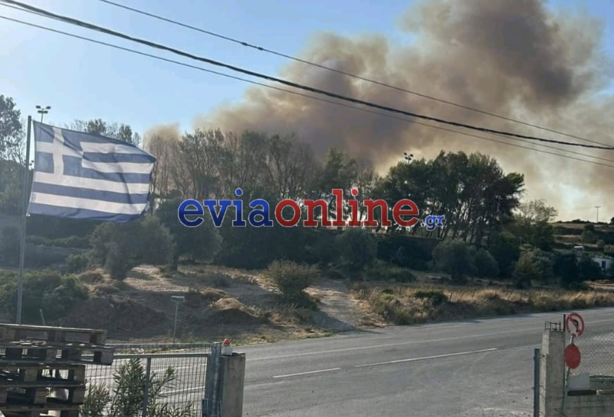 Εύβοια: Αναζωπύρωση τώρα στους Ζάρακες