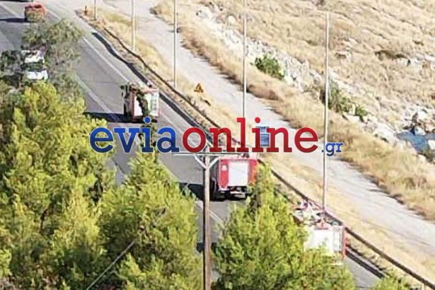 Εύβοια: Φωτιά στην περιοχή Τσέργες